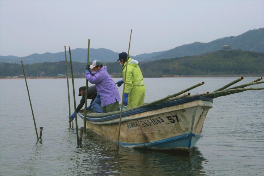 豊かな宍道湖を目指して 竹林魚礁を整備