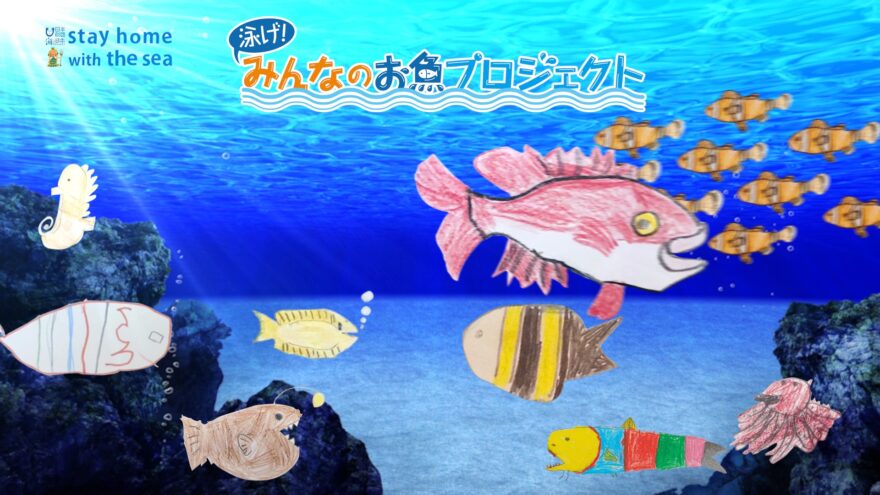 【完成！】泳げ！みんなのお魚プロジェクト　テレビCM