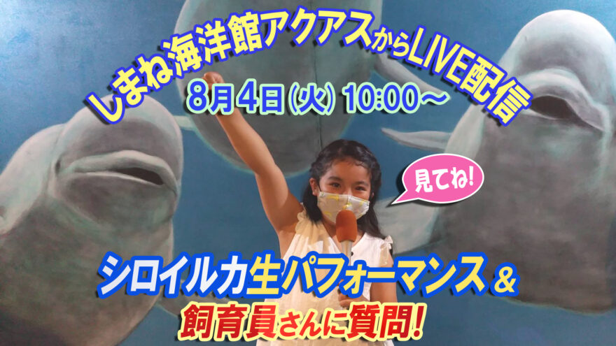 しまね海洋館アクアスからLIVE配信 8月4日(火)10:00スタート