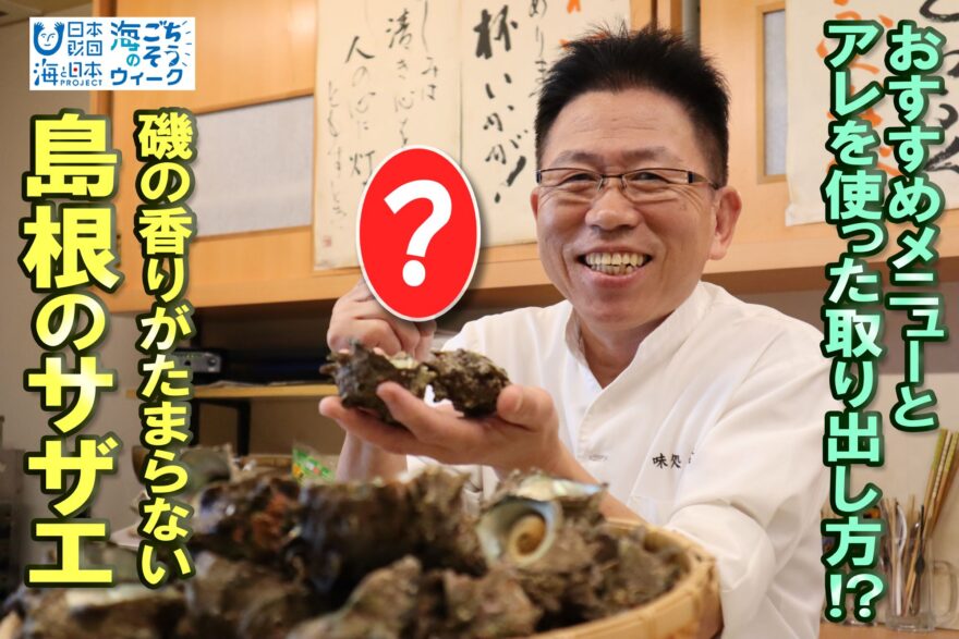 知ろう食べよう海の幸！「海のごちそうウィーク」島根のサザエ