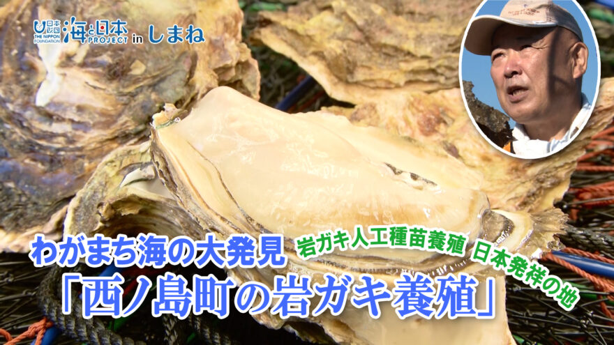 7/25(日)放送「わがまち海の大発見　西ノ島町の岩ガキ養殖」