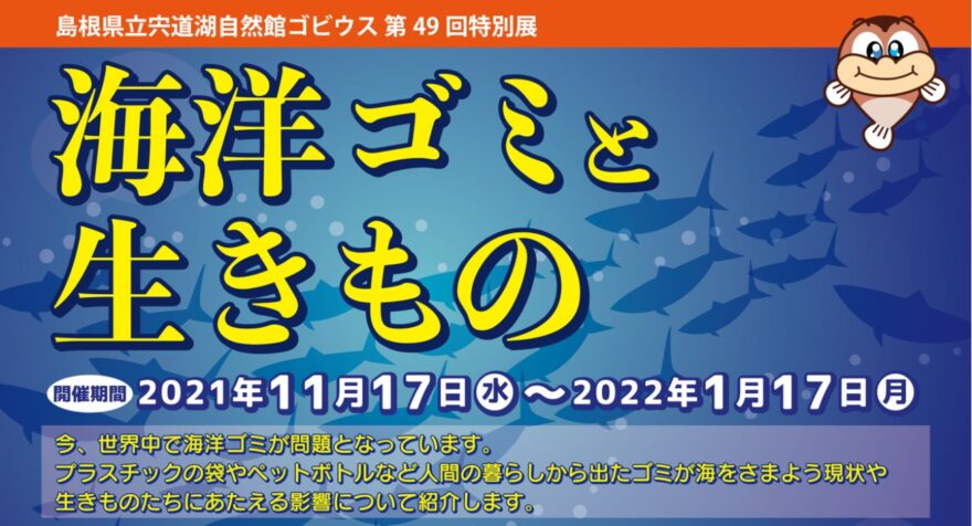 宍道湖自然館ゴビウス  特別展「海洋ゴミと生きもの」開催中！