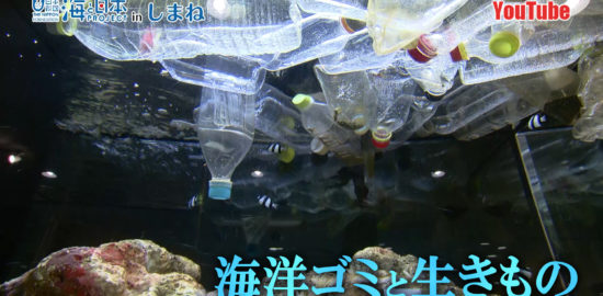 宍道湖自然館ゴビウス「海洋ゴミと生きもの」YouTube