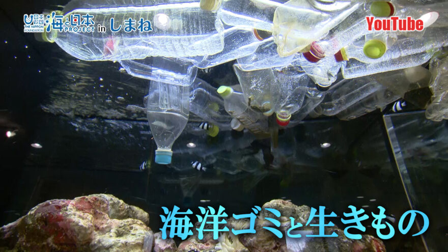 YouTube　宍道湖自然館ゴビウス「海洋ゴミと生きもの」