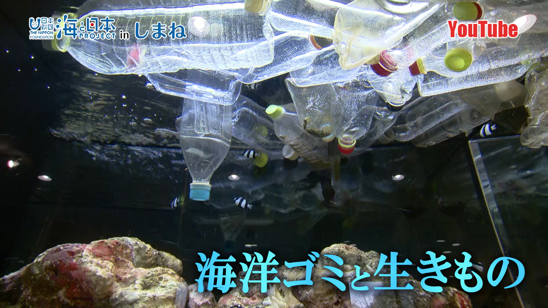 宍道湖自然館ゴビウス「海洋ゴミと生きもの」YouTube
