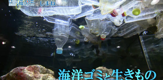 海と日本プロジェクトinしまね　宍道湖自然館ゴビウス「海洋ゴミと生きもの」