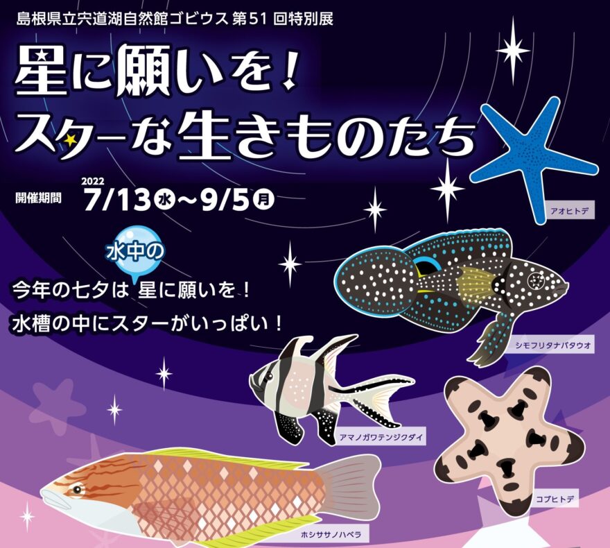 宍道湖自然館ゴビウス「星に願いを！スターな生きものたち」開催中！