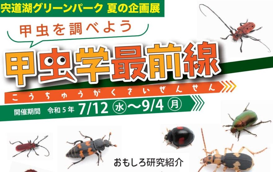 甲虫学最前線！夏休みの自由研究にピッタリ！海にも甲虫が！？