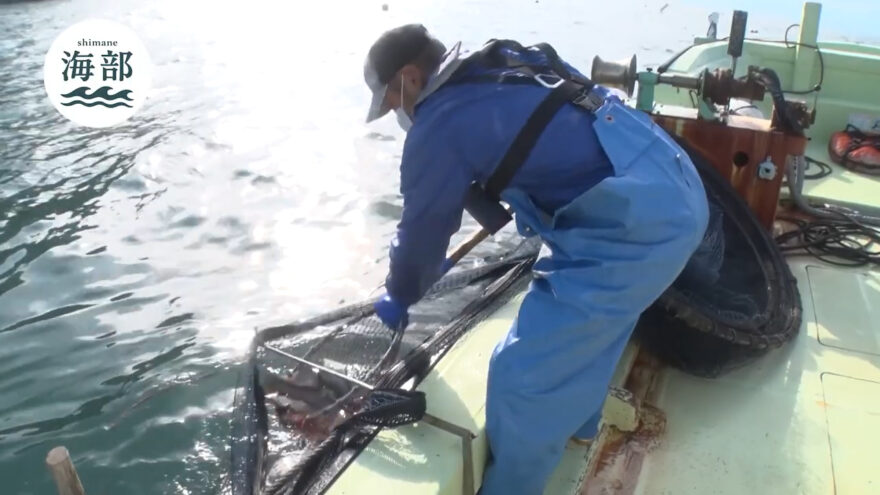 shimane海部「海の恵みを無駄にしない！低利用魚活用の取り組み」11月23日(日)ひる2時55分OA