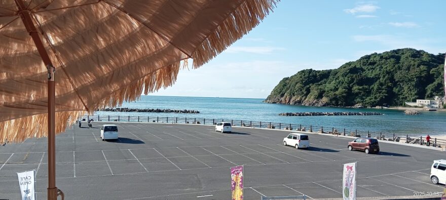 2026年も宜しくお願い致します。